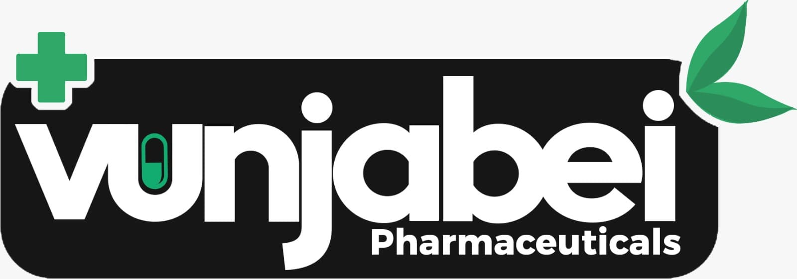 VunjaBei Group Expands Pharmaceutical Distribution Across Tanzania